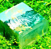 [Aloe vera Soap] - [OrgAnnick beauty]